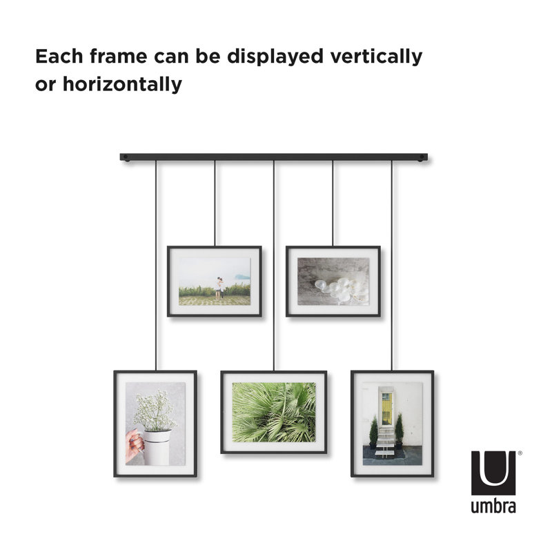 Umbra Metal Picture Frame Set of 5 & Reviews Wayfair